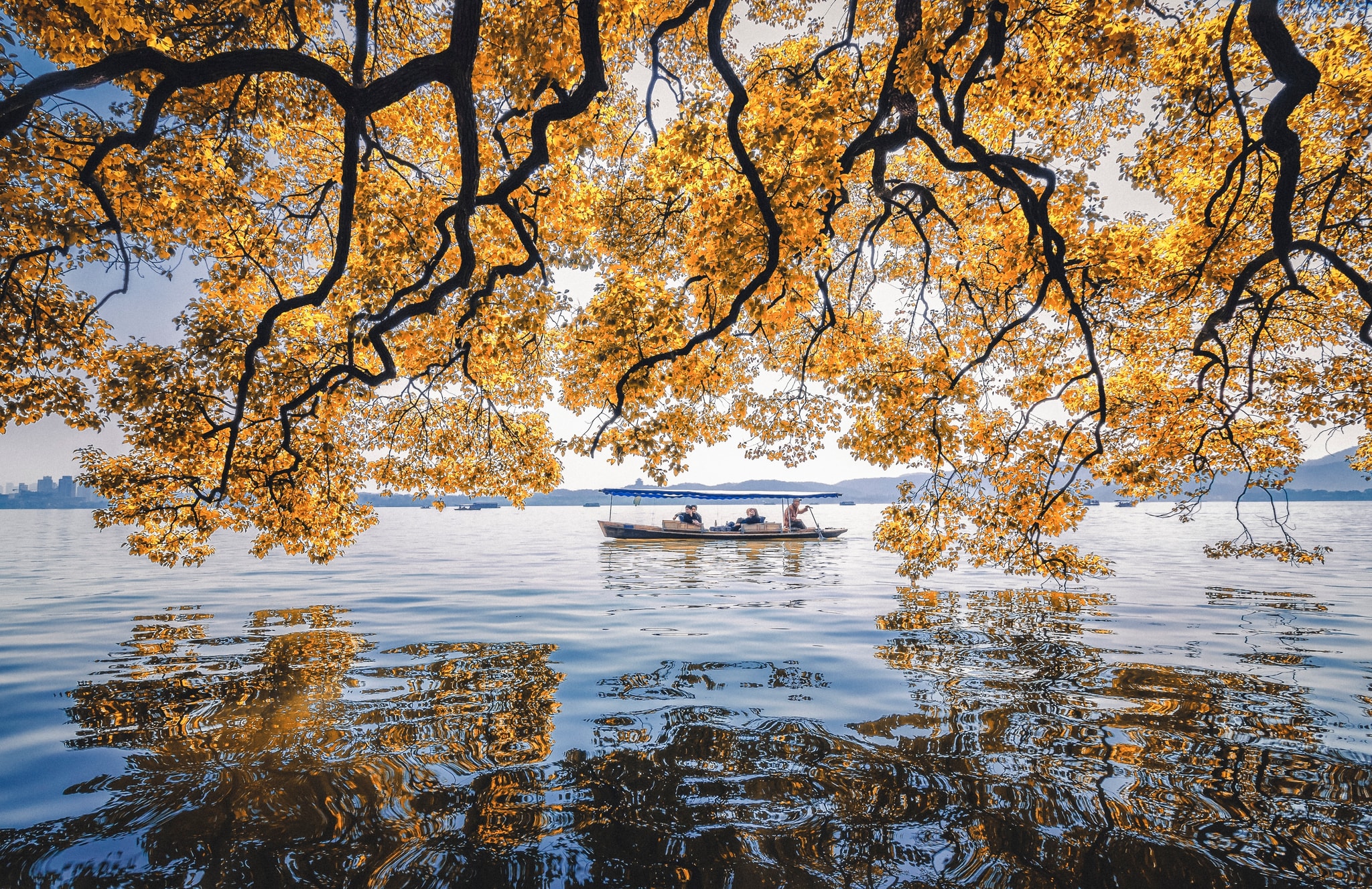 Autumn at West Lake in Hangzhou — golden foliage over the water and a traditional wooden boat, the best season to visit